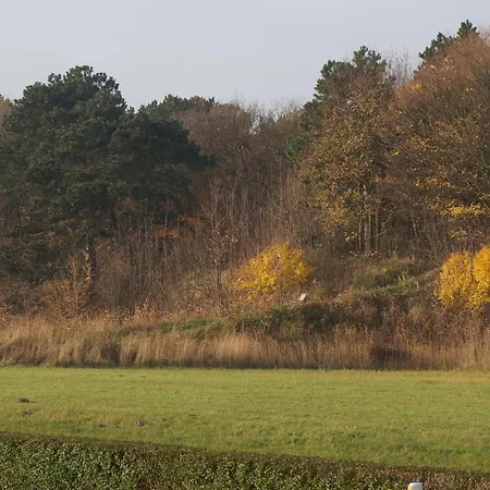 Chalet In Near North Sea