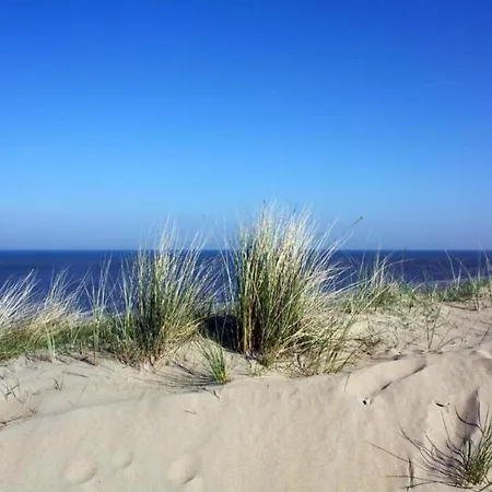 Chalet In Near North Sea Noordwijk