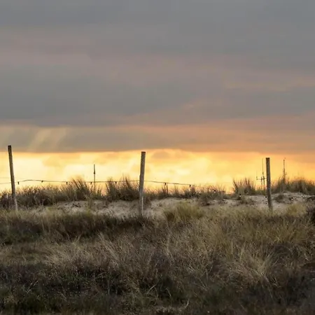 In Near North Sea *