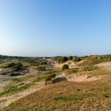 In Near North Sea Noordwijk